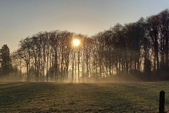 20220114_161236-klein