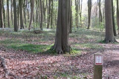 IMG_1713-klein