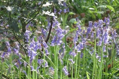 IMG_1754-klein
