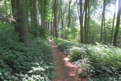 IMG_7035-klein