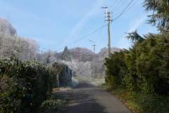 omgeving12