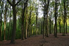 omgeving17