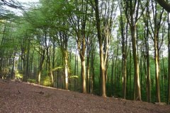 omgeving19