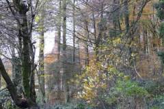 omgeving2