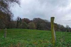 omgeving5
