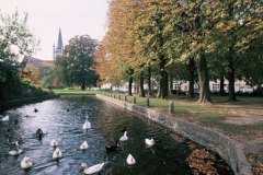 Bruulpark