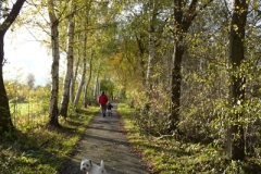 wandelpad3