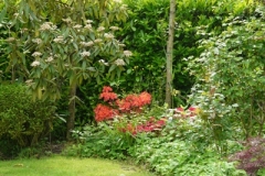 tuin7