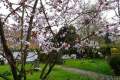 tuin9