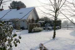 winter5