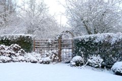 winter8