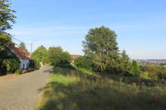 IMG_7691-kleiner