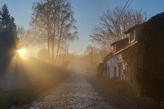mist
