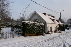 winter1