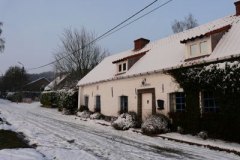 winter2
