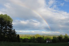 IMG_1132