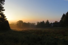 IMG_7865