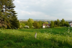 P1100199