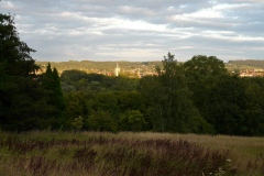 P1140534