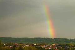 zicht3